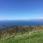 研究職から社労士へ——過去の経験が導いた新たな道